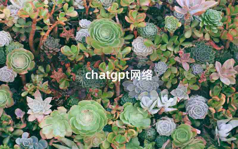 chatgpt网络