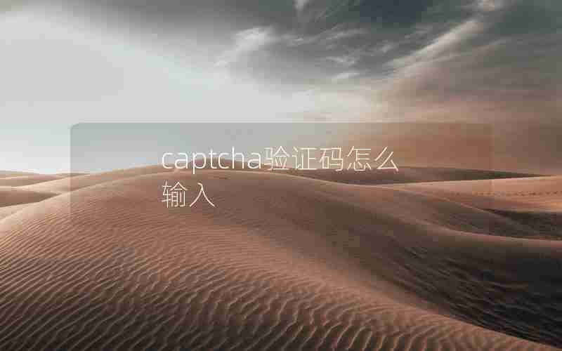 captcha验证码怎么输入