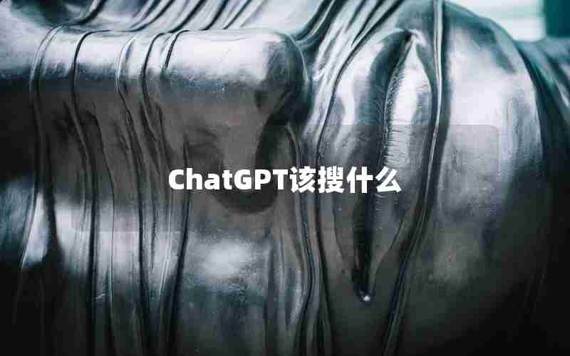 ChatGPT该搜什么