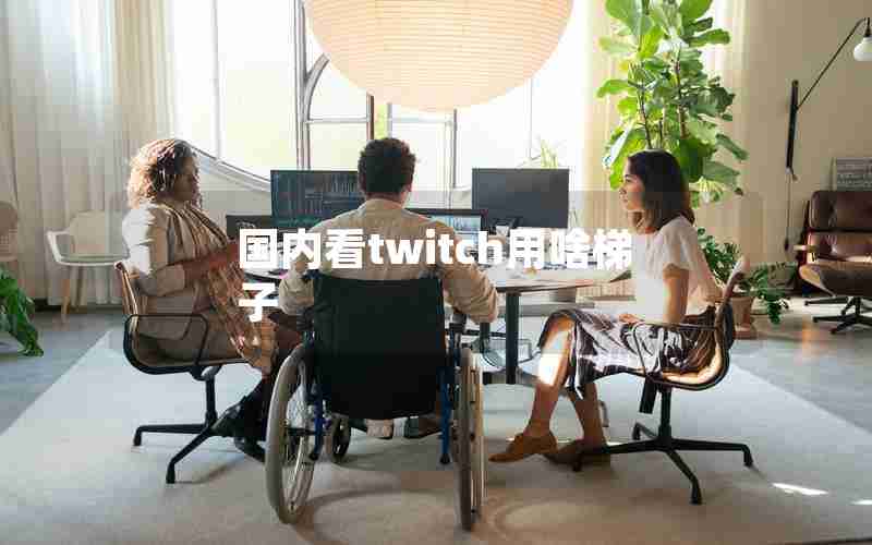 国内看twitch用啥梯子