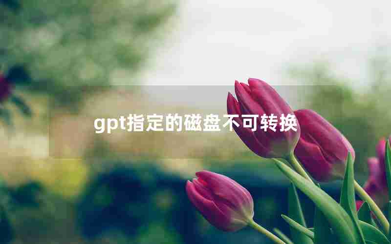 gpt指定的磁盘不可转换