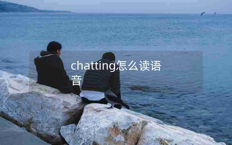 chatting怎么读语音