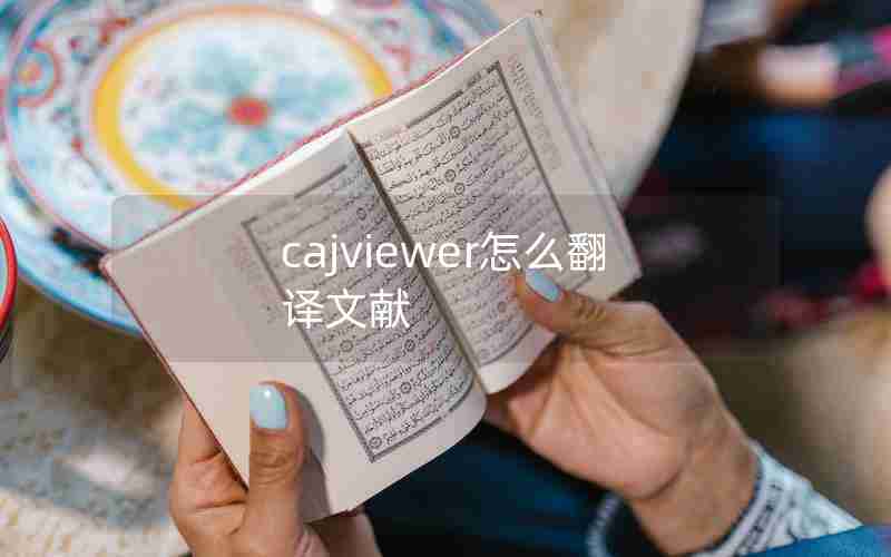 cajviewer怎么翻译文献