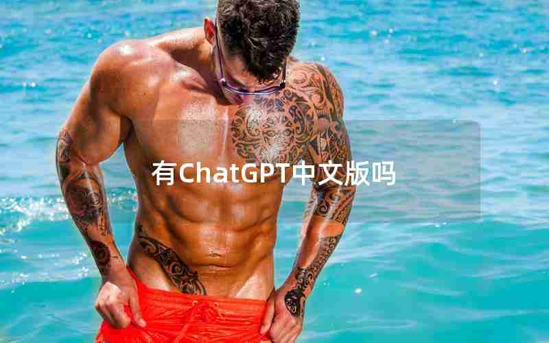 有ChatGPT中文版吗