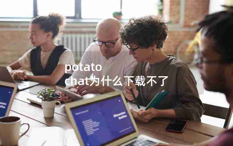 potato chat为什么下载不了