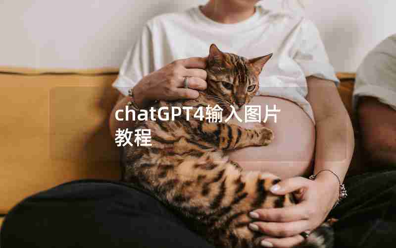 chatGPT4输入图片教程