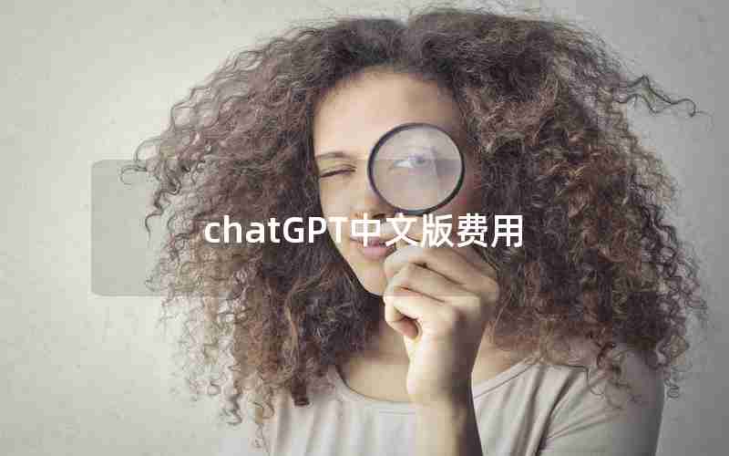 chatGPT中文版费用