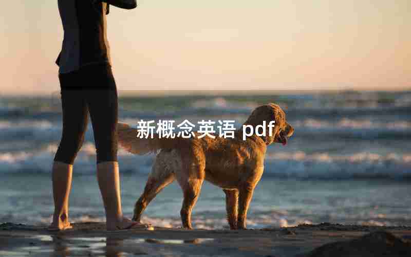 新概念英语 pdf