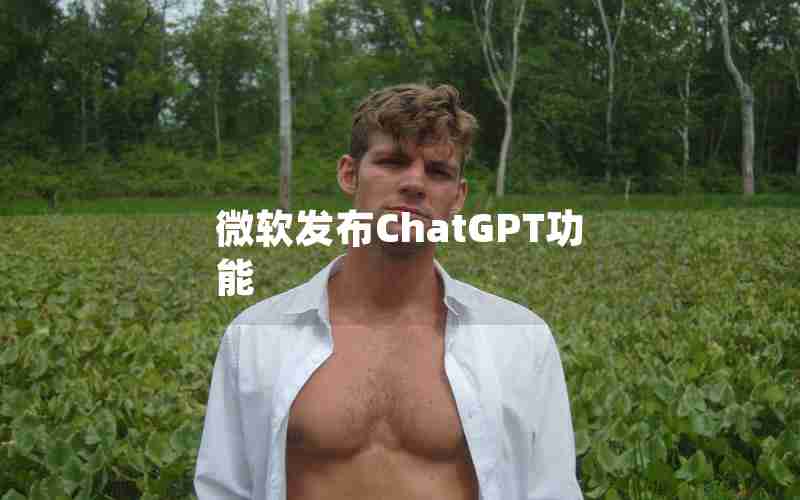 微软发布ChatGPT功能