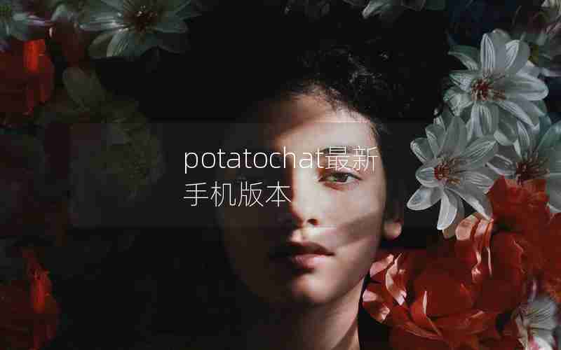 potatochat最新手机版本