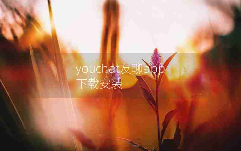 youchat友聊app下载安装