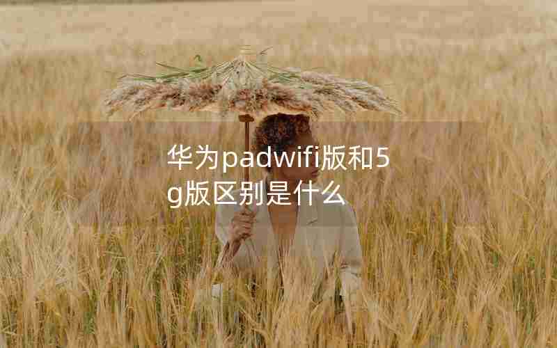 华为padwifi版和5g版区别是什么