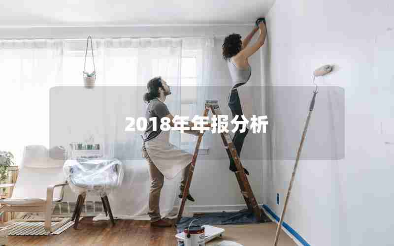 2018年年报分析