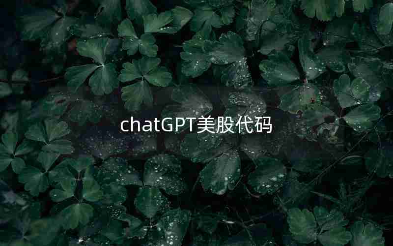 chatGPT美股代码