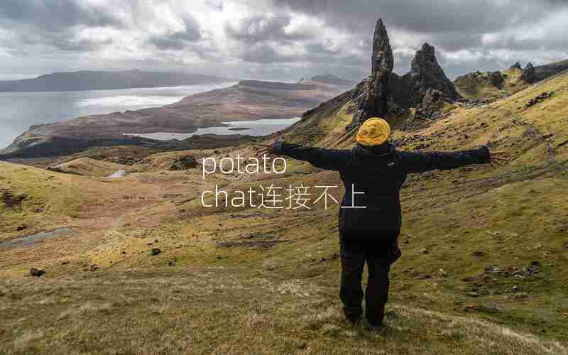 potato chat连接不上