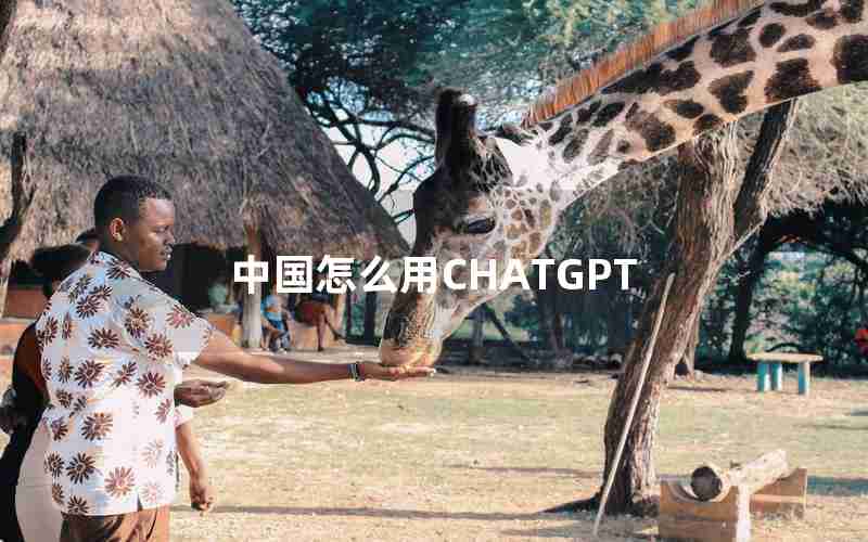 中国怎么用CHATGPT