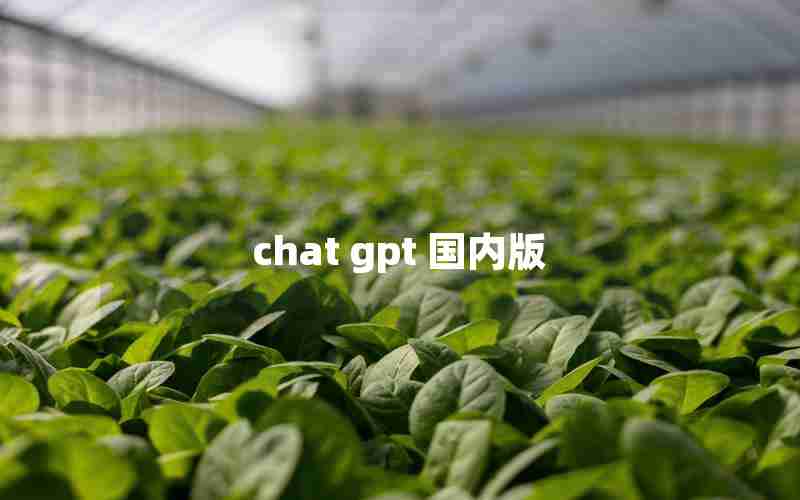 chat gpt 国内版