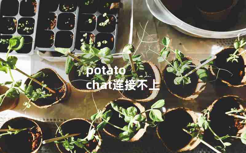 potato chat连接不上