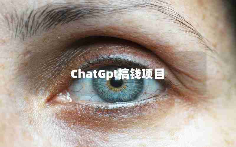 ChatGpt搞钱项目