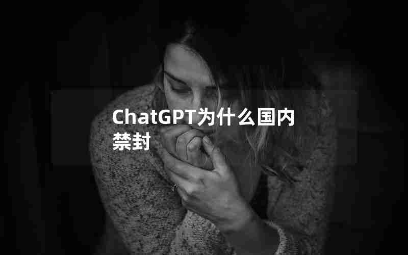 ChatGPT为什么国内禁封