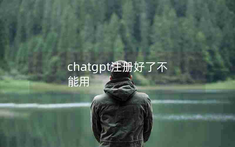 chatgpt注册好了不能用