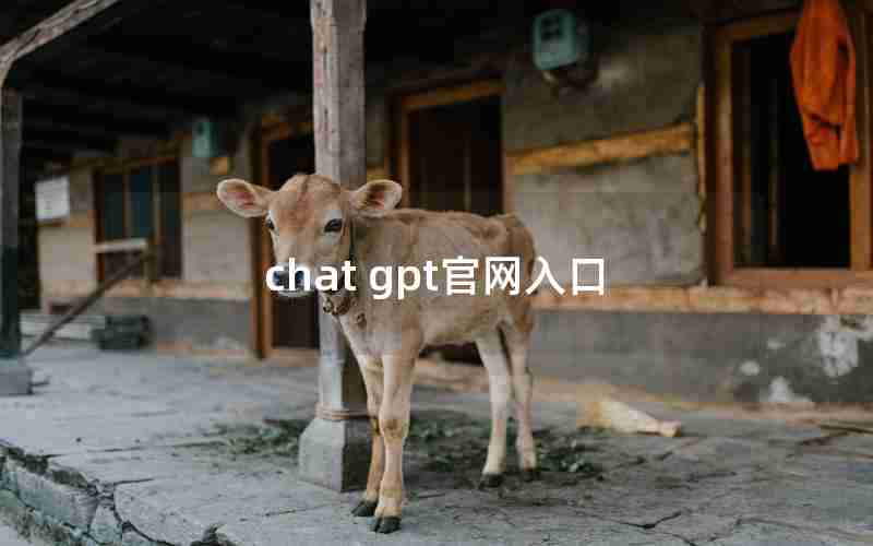 chat gpt官网入口