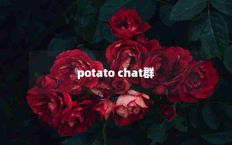 potato chat群