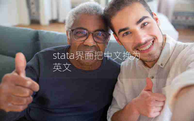 stata界面把中文换为英文