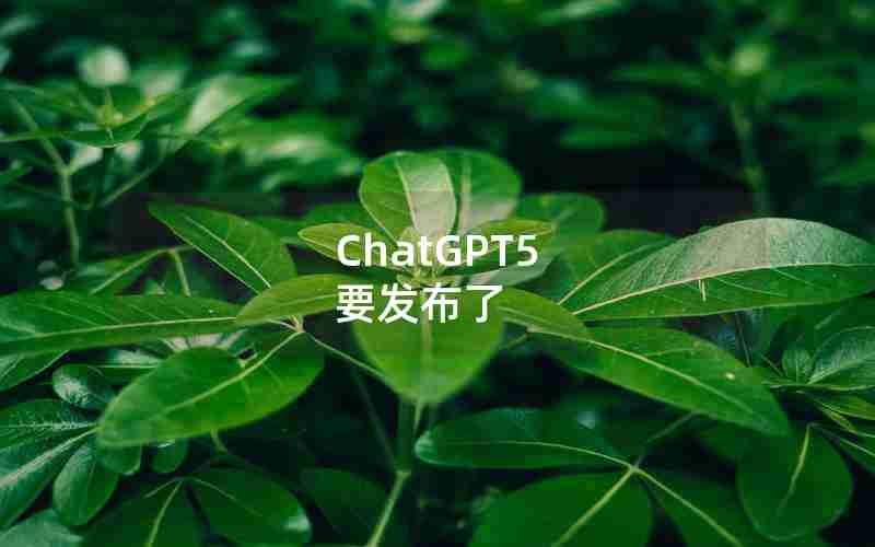 ChatGPT5 要发布了