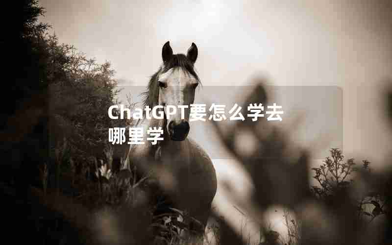 ChatGPT要怎么学去哪里学