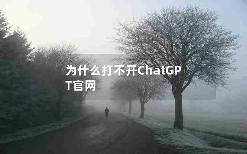 为什么打不开ChatGPT官网