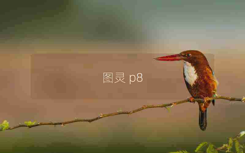 图灵 p8