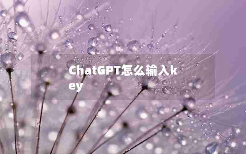 ChatGPT怎么输入key