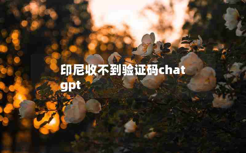 印尼收不到验证码chatgpt