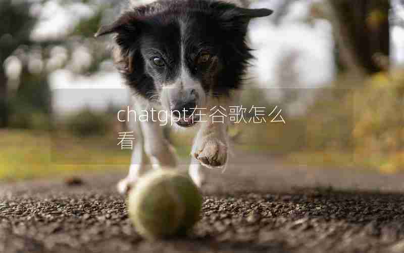 chatgpt在谷歌怎么看(google chat怎么用)