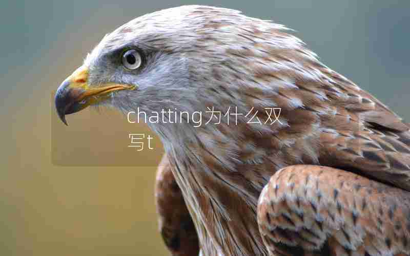 chatting为什么双写t