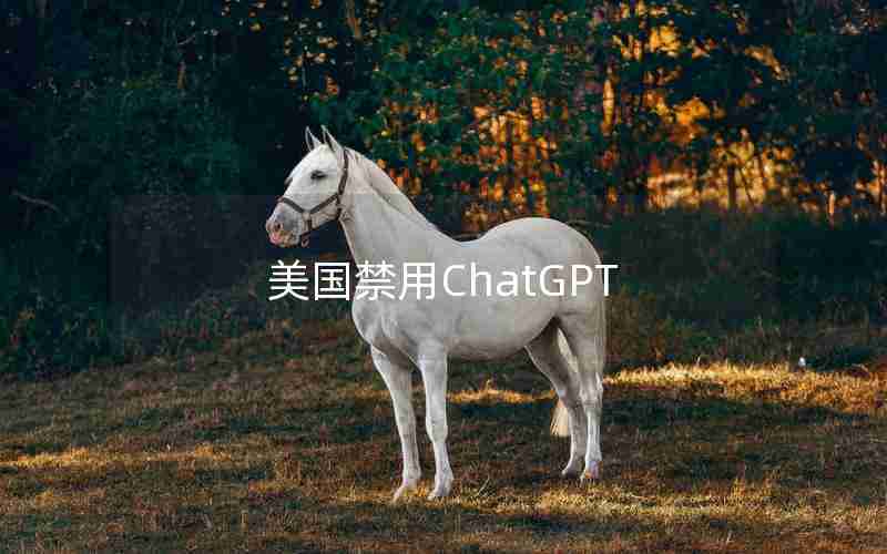 美国禁用ChatGPT