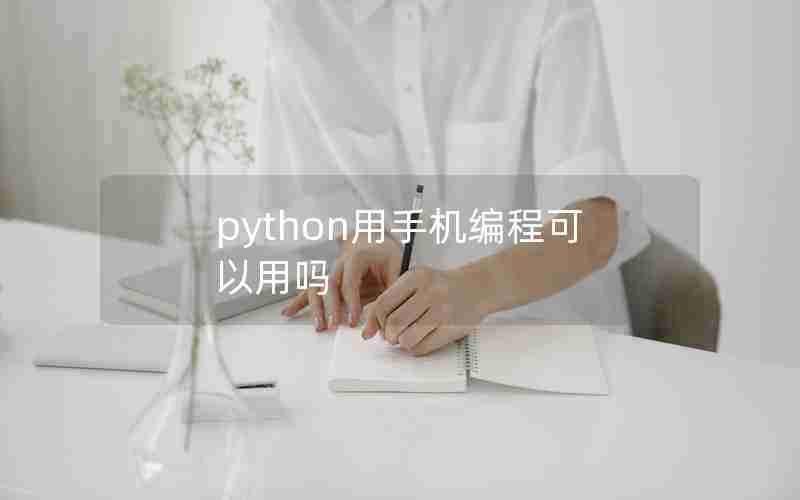 python用手机编程可以用吗