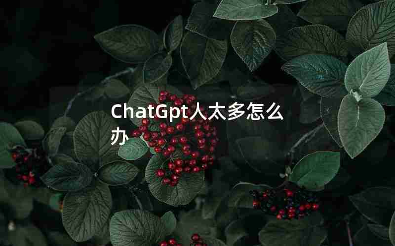 ChatGpt人太多怎么办