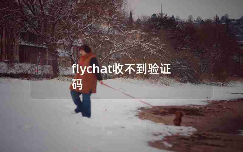 flychat收不到验证码