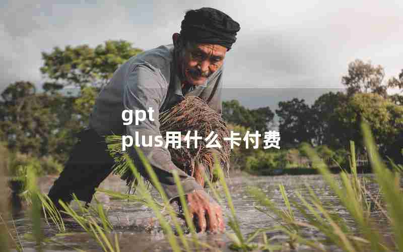 gpt plus用什么卡付费