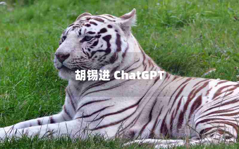 胡锡进 ChatGPT