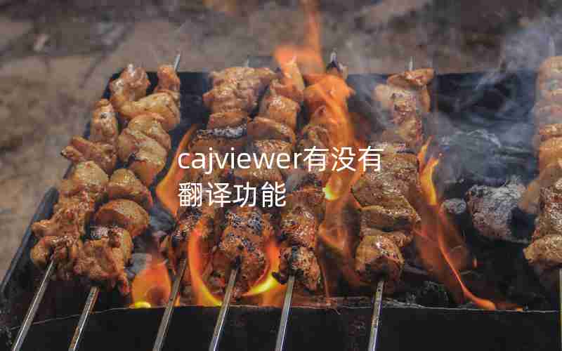 cajviewer有没有翻译功能