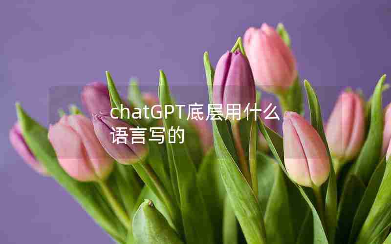 chatGPT底层用什么语言写的