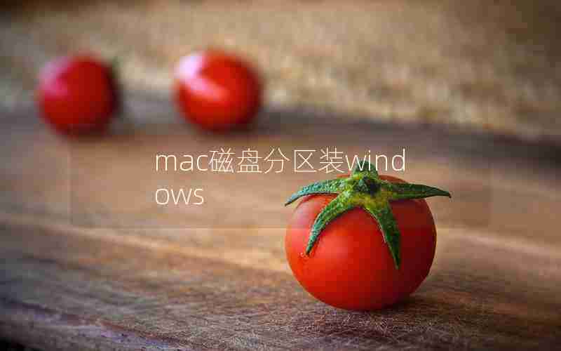 mac磁盘分区装windows