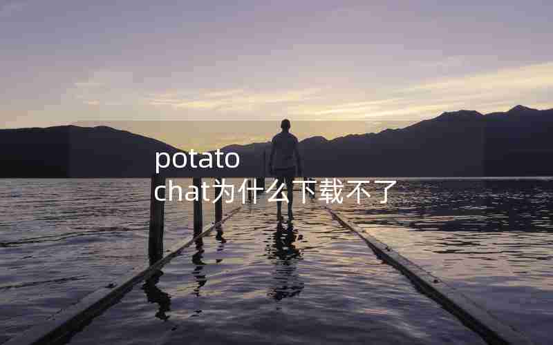 potato chat为什么下载不了