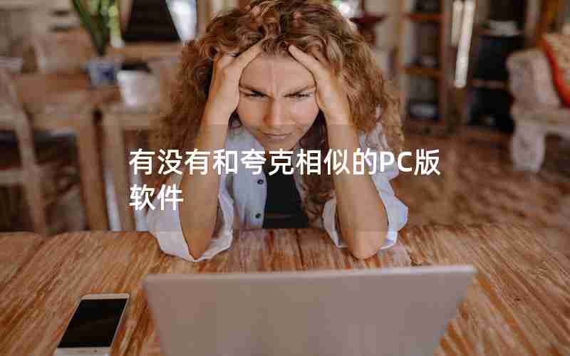 有没有和夸克相似的PC版软件