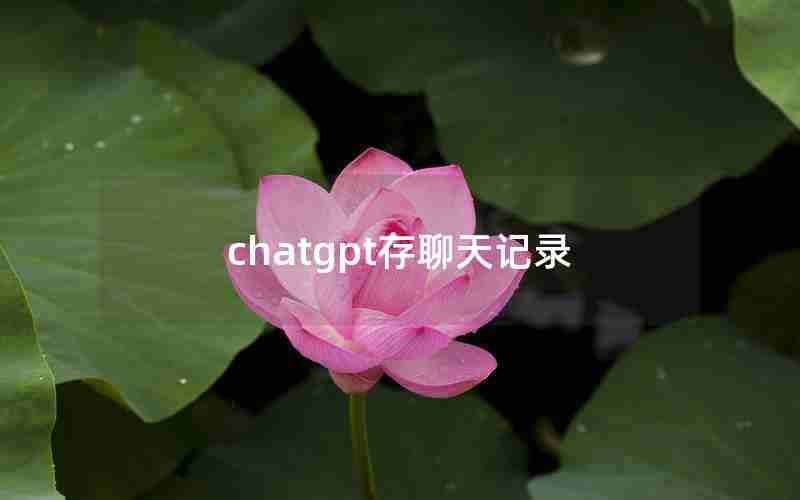 chatgpt存聊天记录