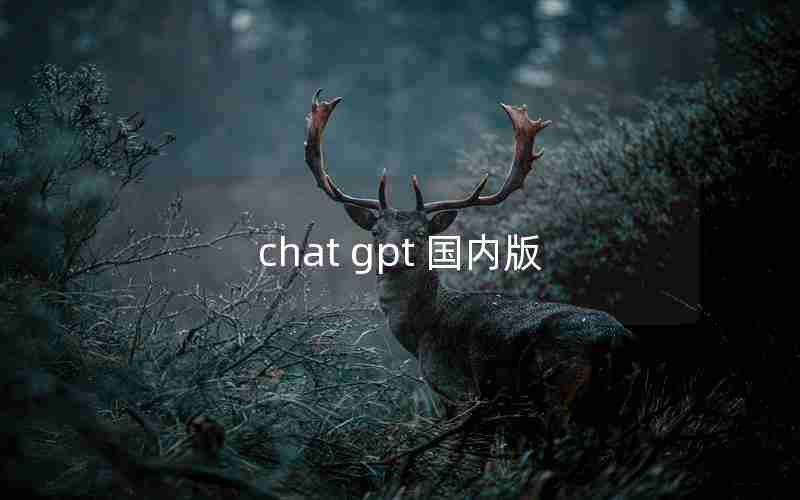 chat gpt 国内版