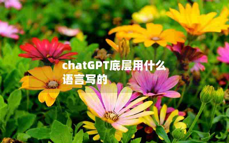 chatGPT底层用什么语言写的